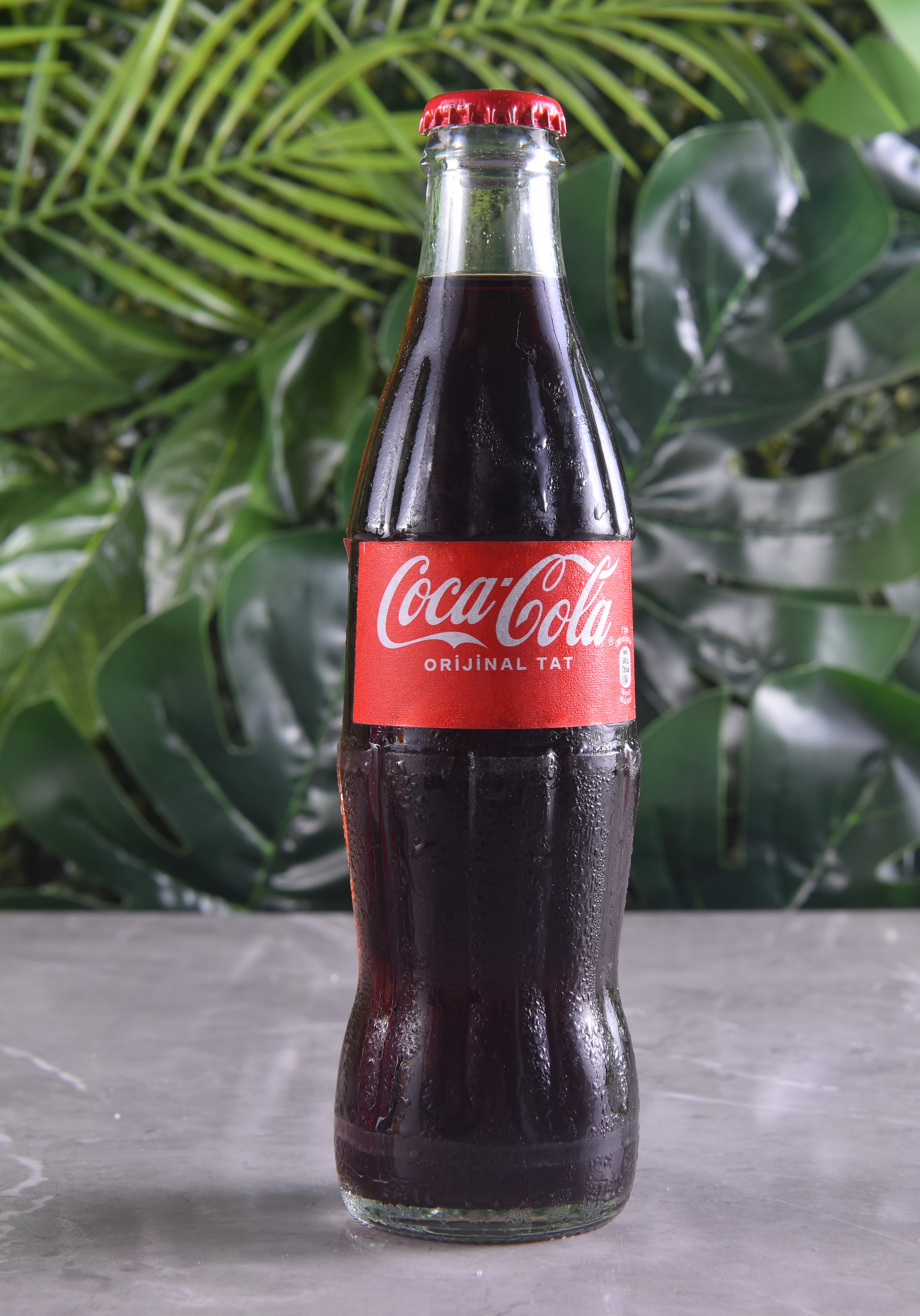Coca Cola (Şişe)